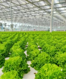 serre-agricole-cd-structure